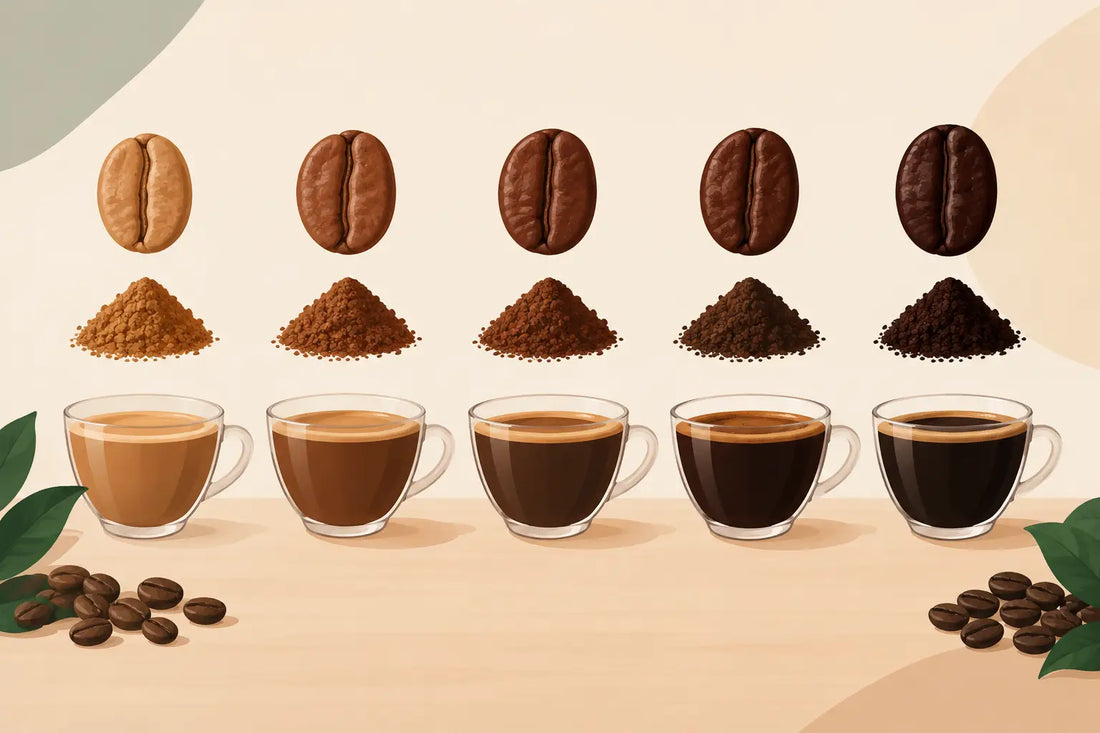 Coffee Roast Comparison Chart for Every Taste